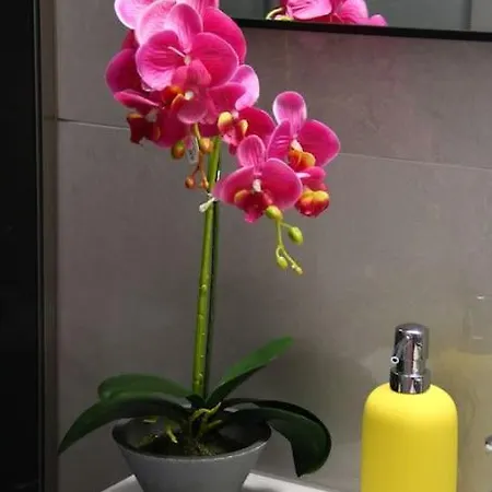 Cozy 2bd In Thissio-acropolis Athens